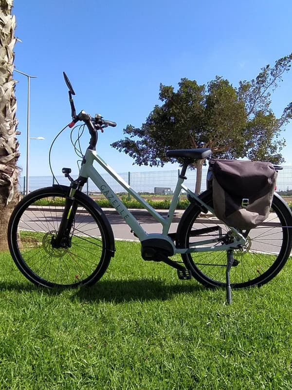 Gazelle Gazelle madame - Medina Bikes Morocco